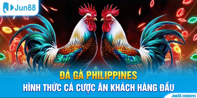 Đá Gà Philippines – Hình Thức Cá Cược Ăn Khách Hàng Đầu