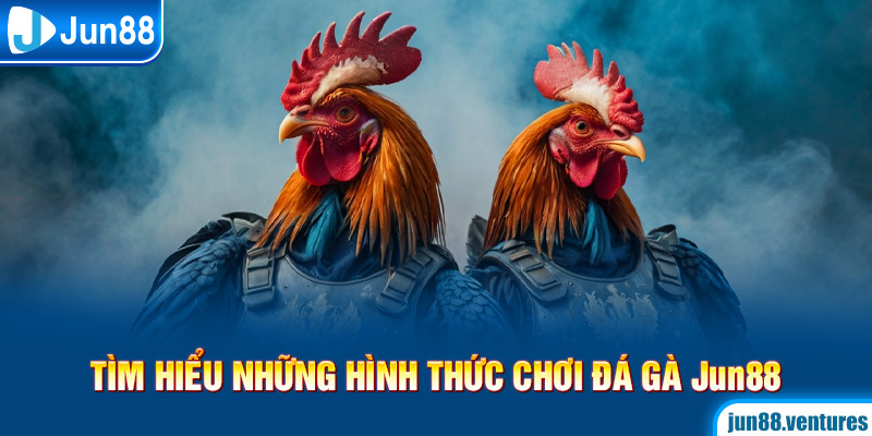 Tìm hiểu những hình thức chơi Đá gà Jun88