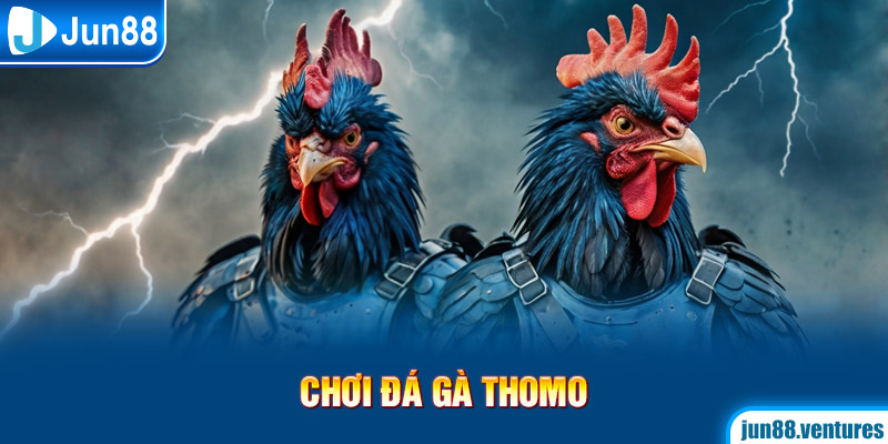 Chơi đá gà Thomo