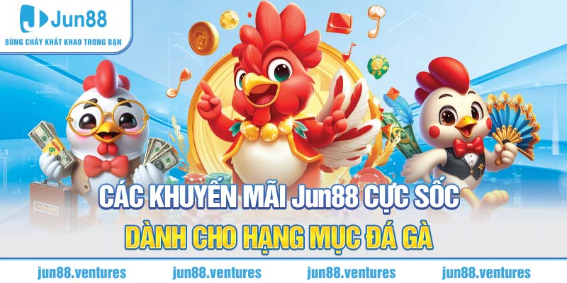 Các khuyến mãi Jun88 cực sốc dành cho hạng mục đá gà