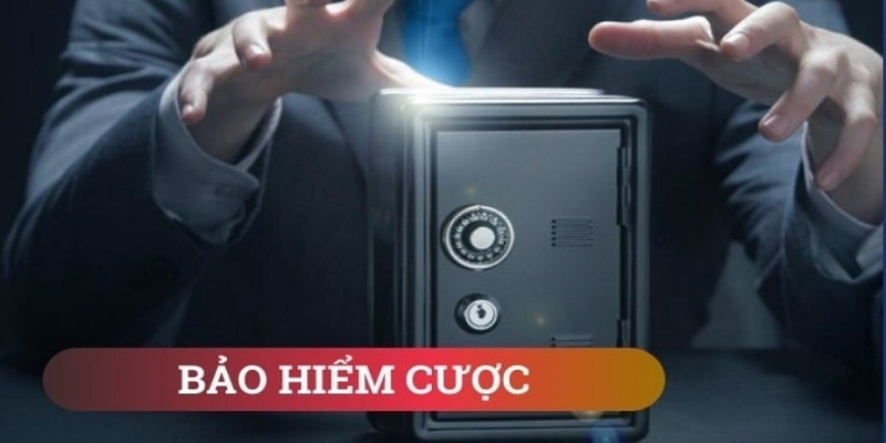 Tìm hiểu sở về hình thức bảo hiểm cá cươc mới nhất tại trang web.