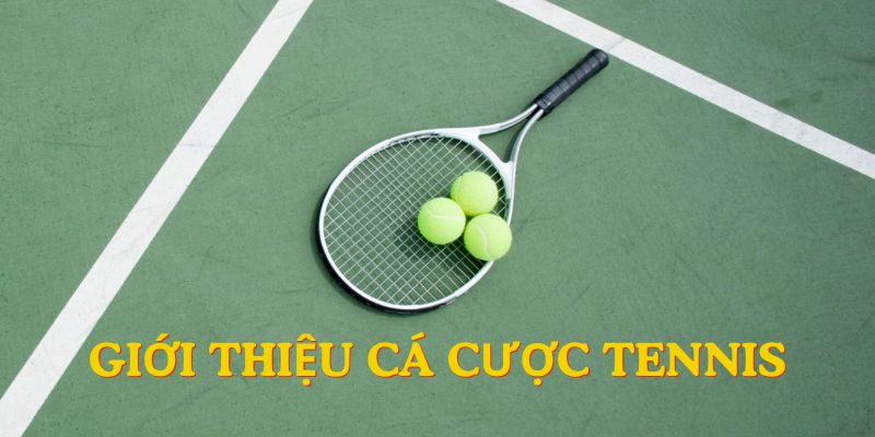 Giới thiệu sơ lược về hình thức cá cược Tennis