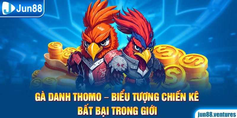 Gà Danh Thomo – Biểu Tượng Chiến Kê Bất Bại Trong Giới