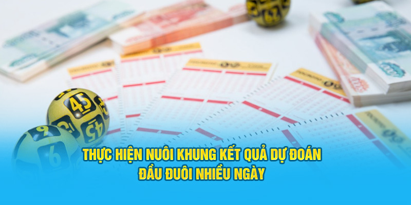 Thực hiện nuôi khung kết quả dự đoán đầu đuôi nhiều ngày 